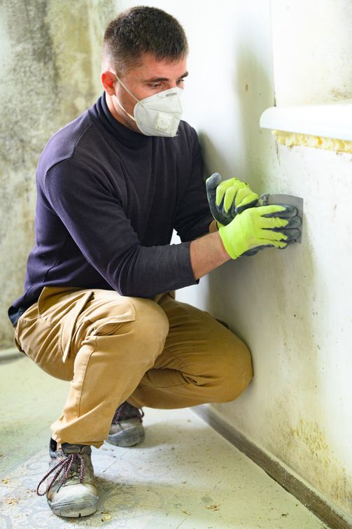 Mold Inspection