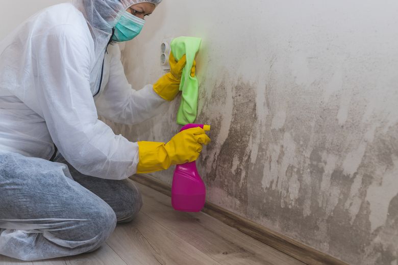 Mold Inspection